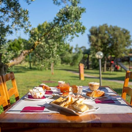 Glamping Gli Etruschi Hotel Piombino Eksteriør billede